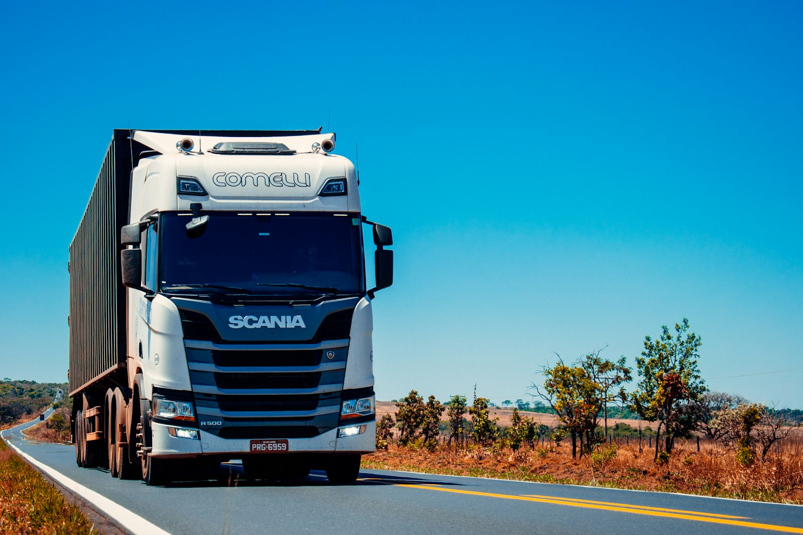 Autista professionista accanto a un camion per il trasporto merci
